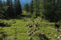 2015-07-01_2Drijaggenalm (113).JPG